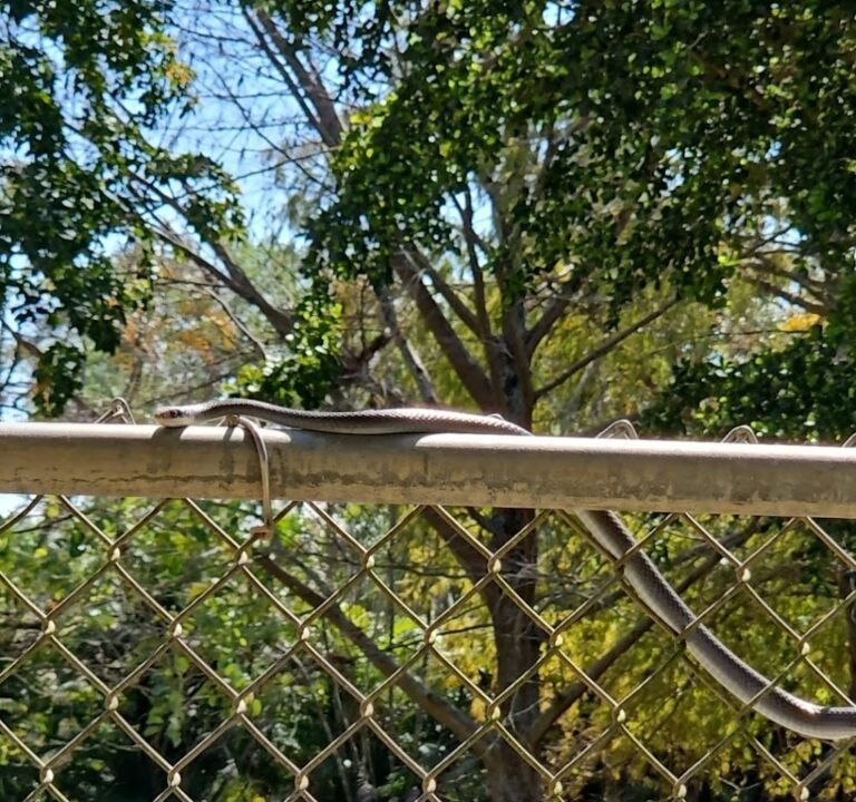 Soccer Field image 3