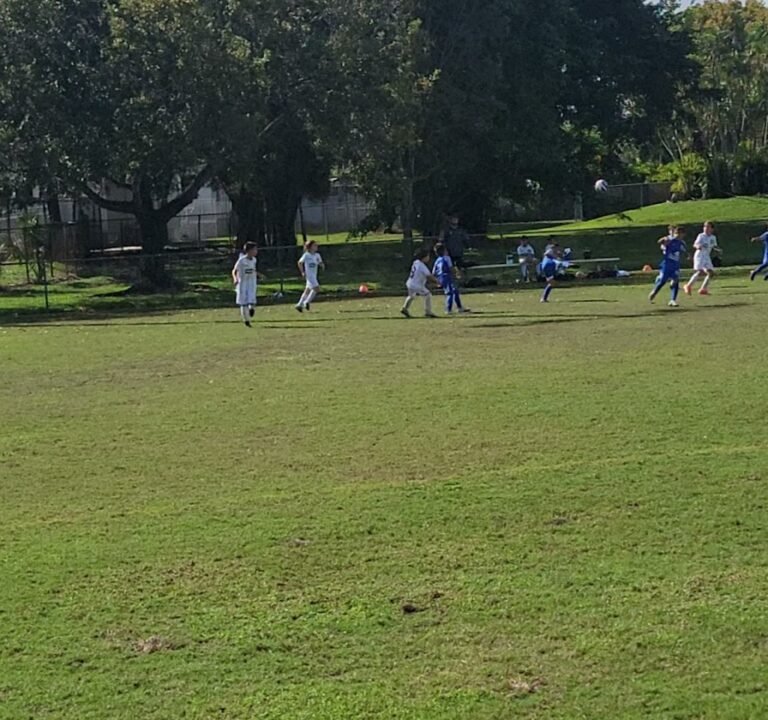 Soccer Field image 4