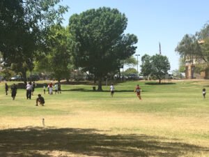 Soccer Field image 1