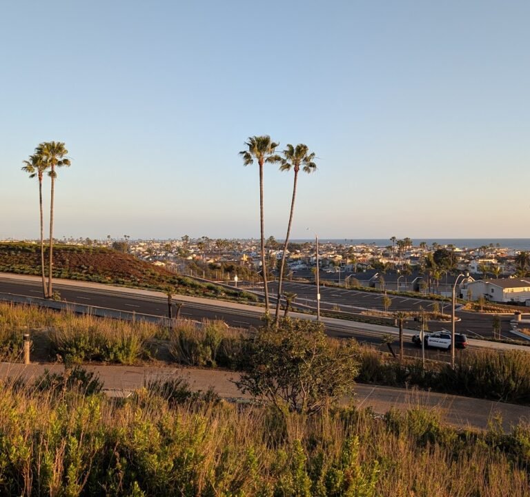 Soccer Field image 3