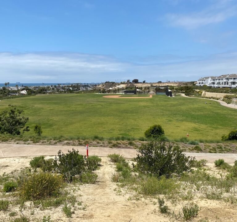 Soccer Field image 2