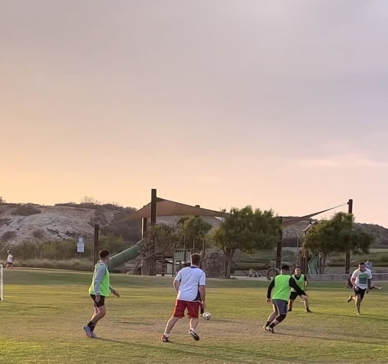 Soccer Field image 4