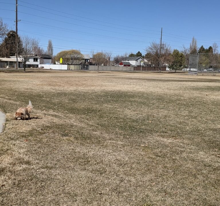 Soccer Field image 3