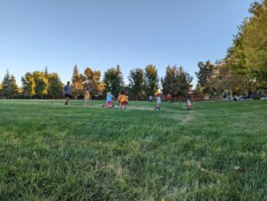 Soccer Field image 1