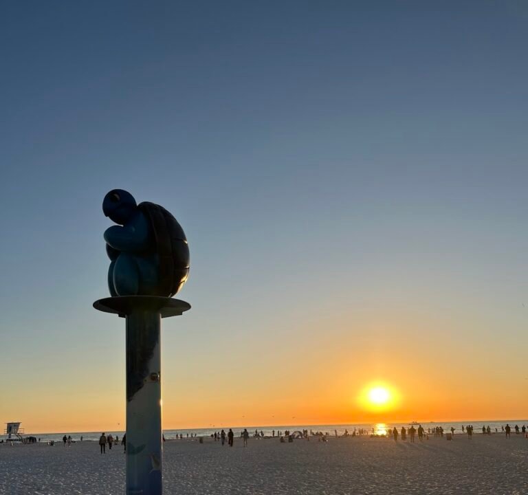 Soccer Field image 3