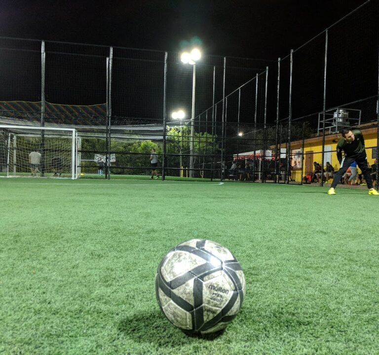 Soccer Field image 3