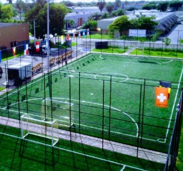 Soccer Field image 2