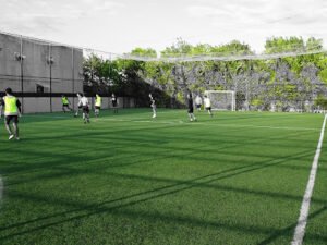 Soccer Field image 1