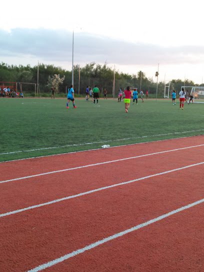 Soccer Field image 1