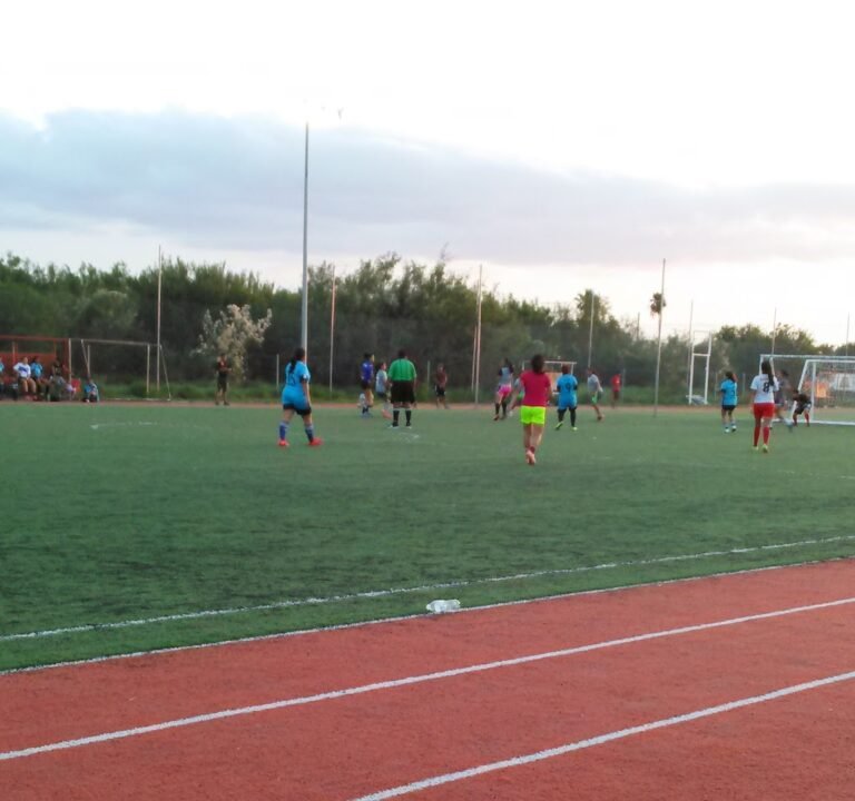 Soccer Field image 3