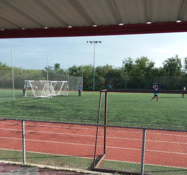 Soccer Field image 2