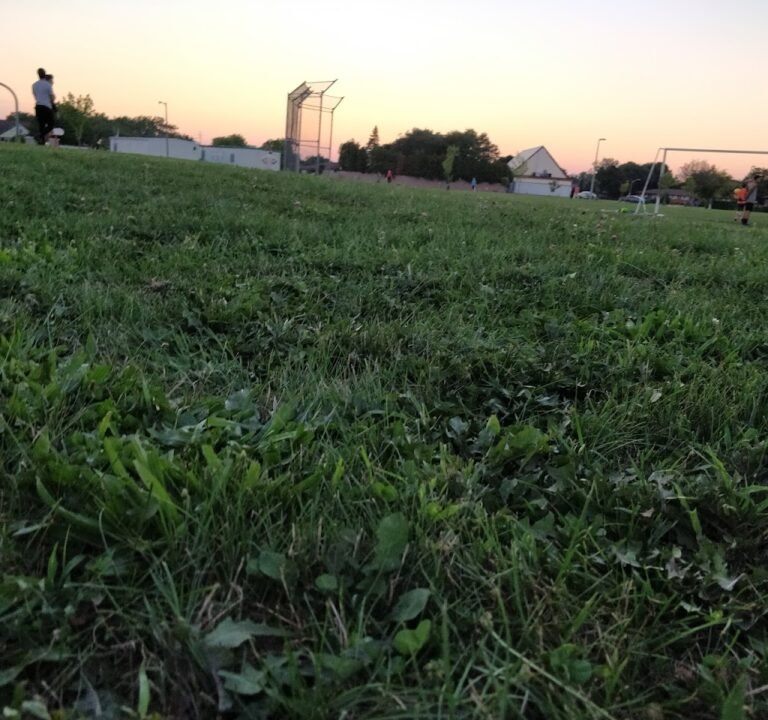 Soccer Field image 3