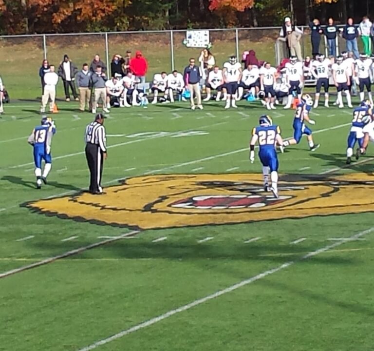 Soccer Field image 2