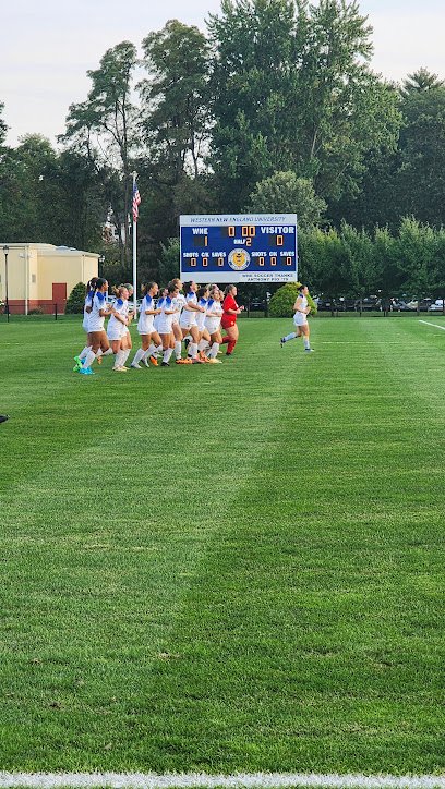 Soccer Field image 1