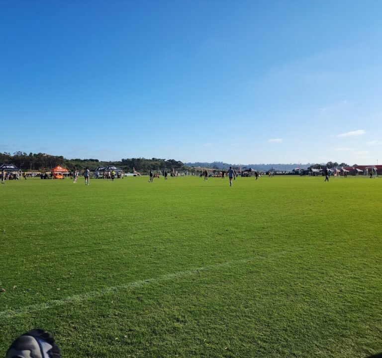 Soccer Field image 2