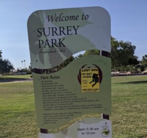 Soccer Field image 3