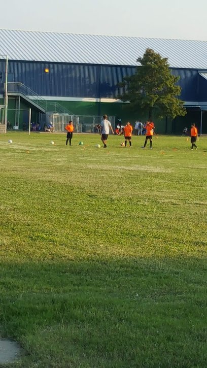 Soccer Field image 1