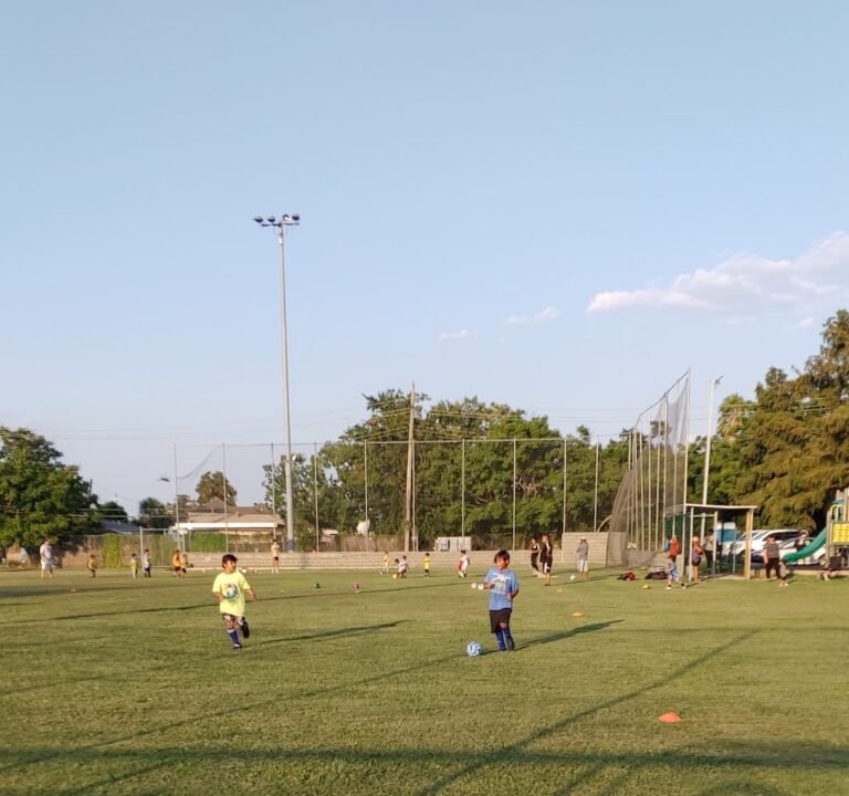 Soccer Field image 2