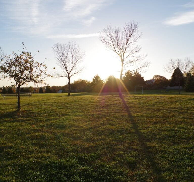 Soccer Field image 2