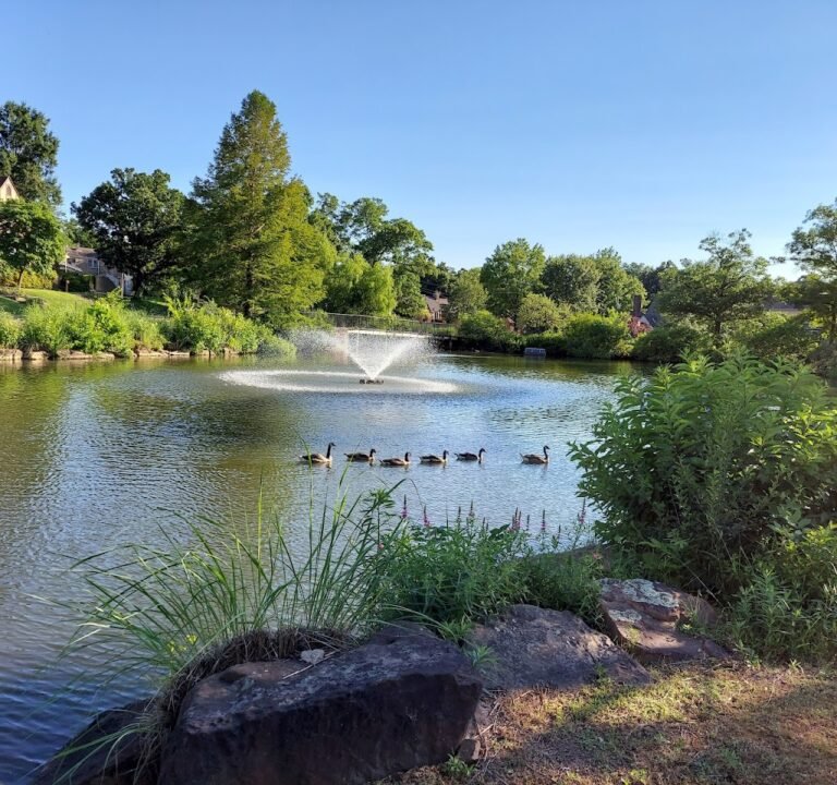 Soccer Field image 2