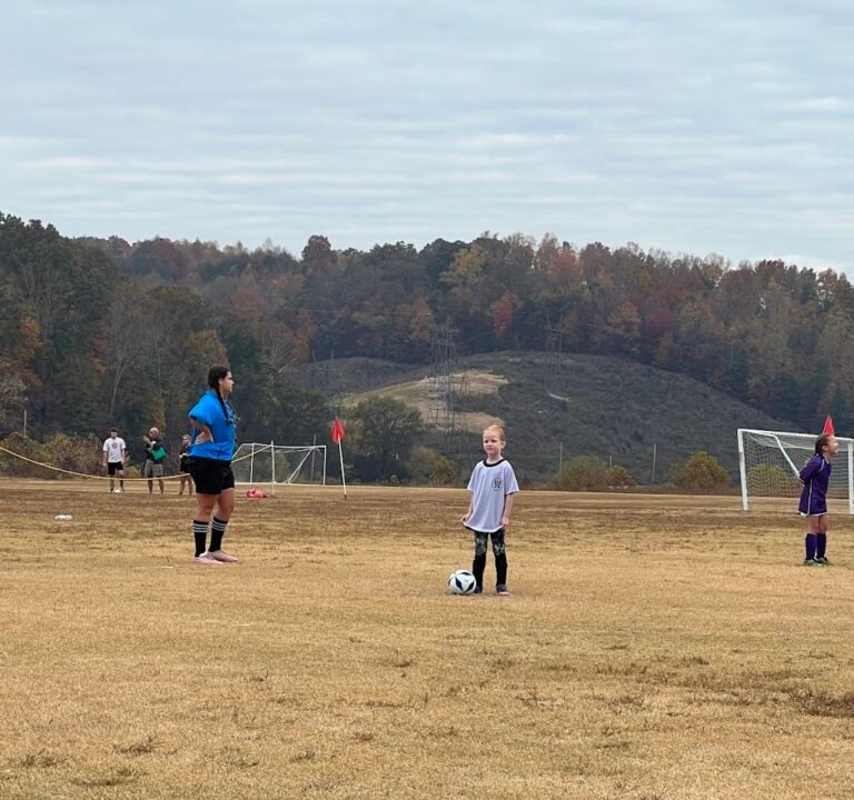 Soccer Field image 2