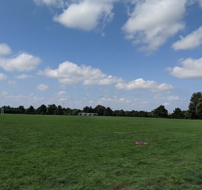 Soccer Field image 2