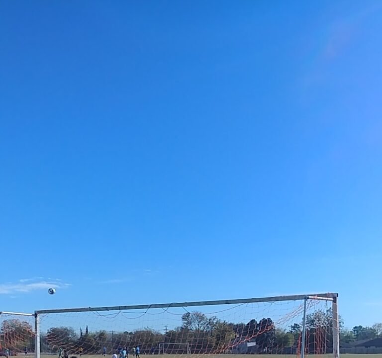 Soccer Field image 3