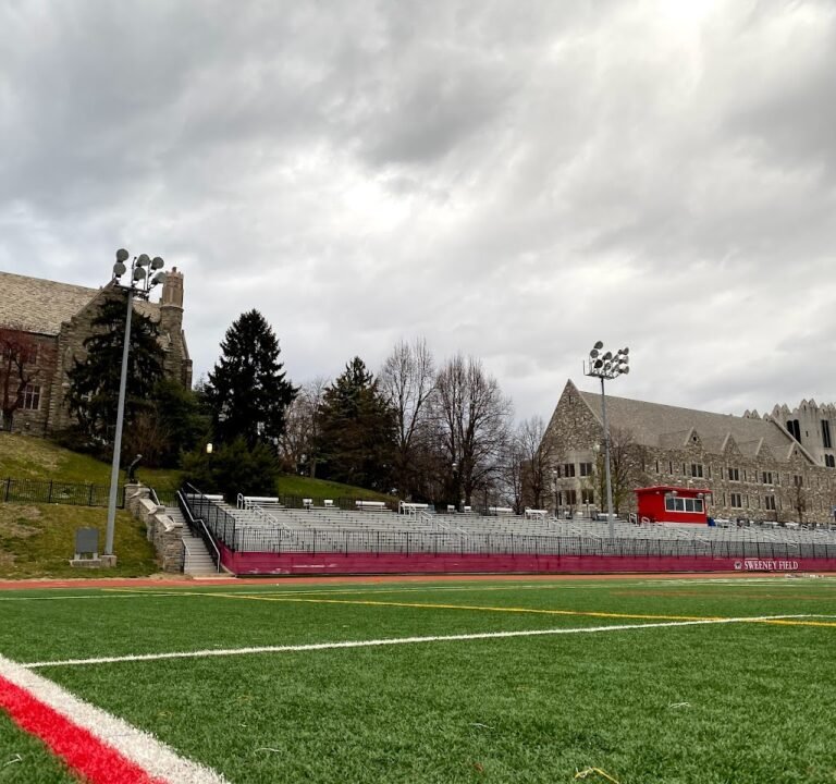 Soccer Field image 2