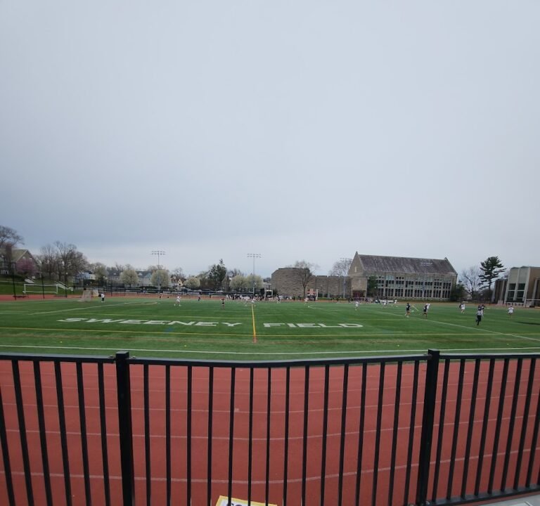Soccer Field image 3