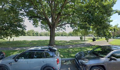 Soccer Field image 1