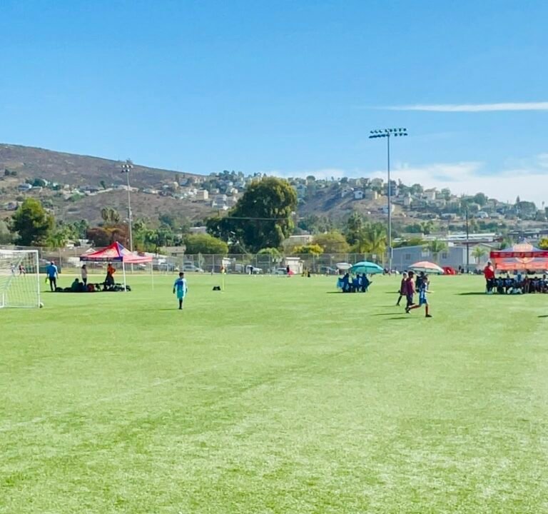 Soccer Field image 2