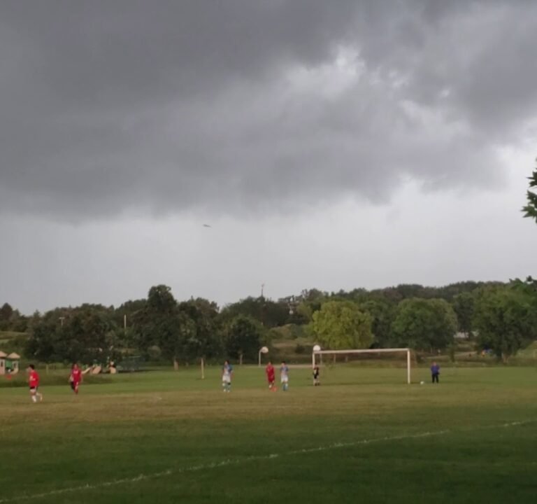 Soccer Field image 4