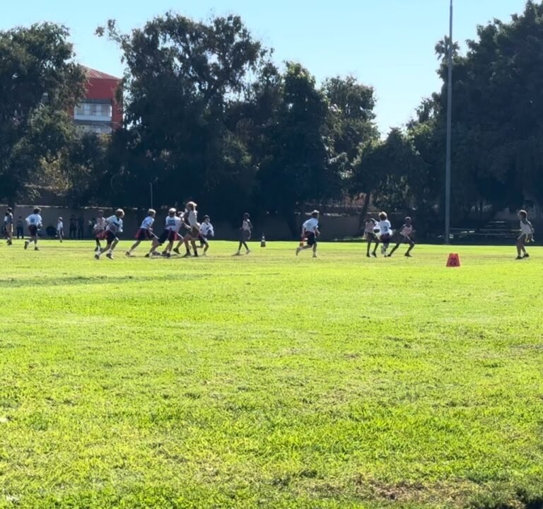 Soccer Field image 4