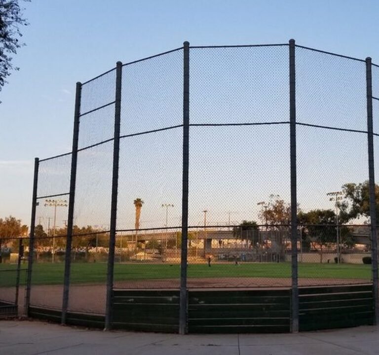 Soccer Field image 2