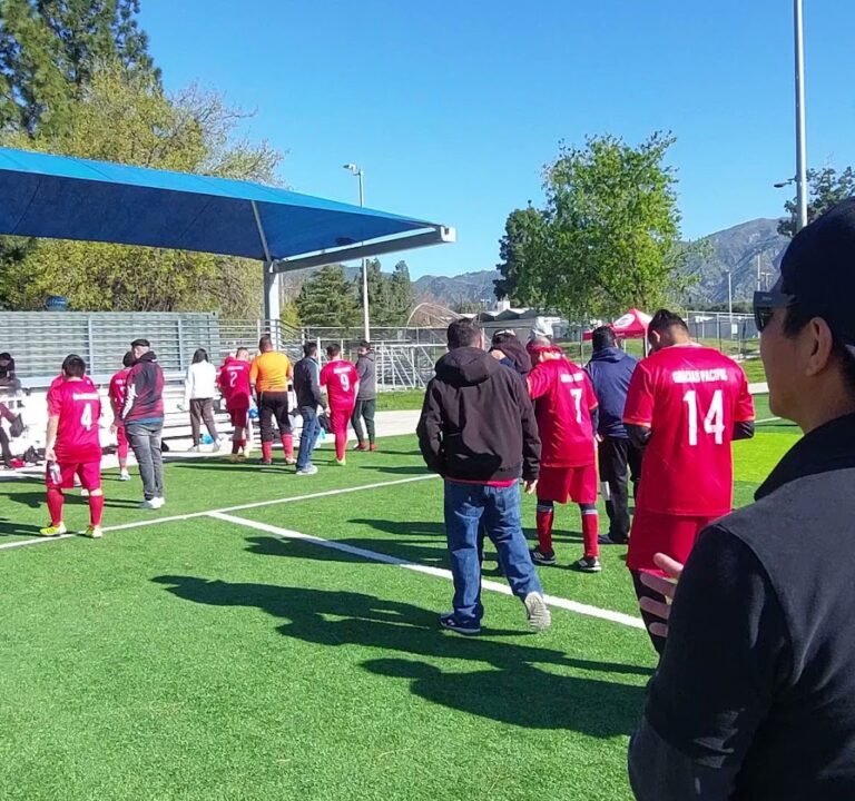 Soccer Field image 2