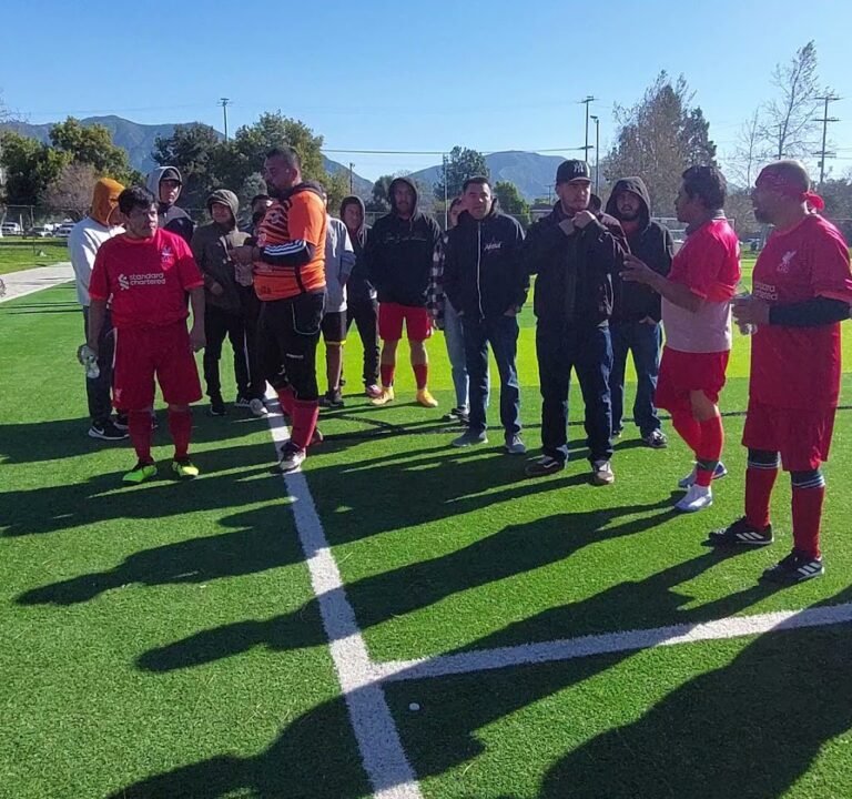 Soccer Field image 4