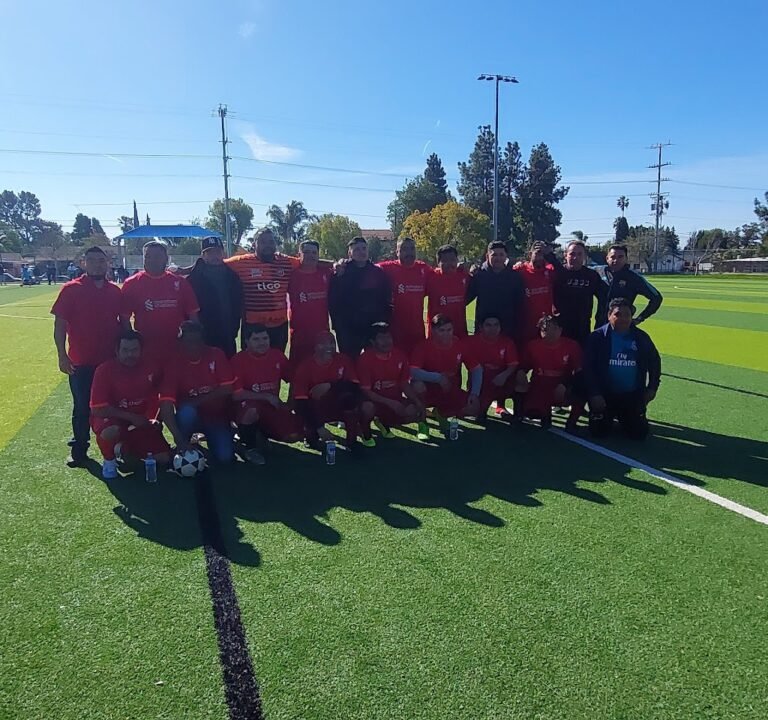 Soccer Field image 3