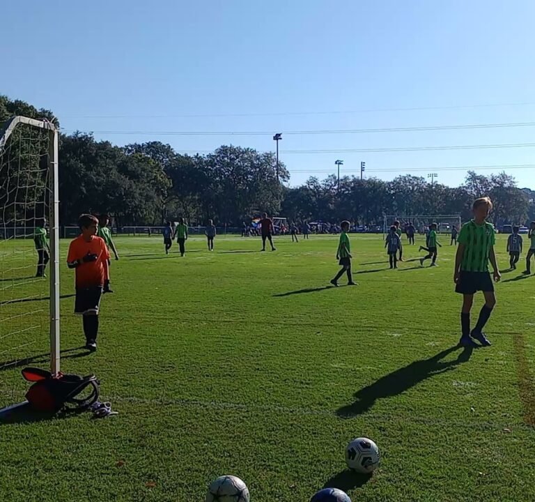 Soccer Field image 2