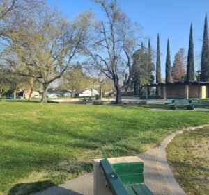 Soccer Field image 2