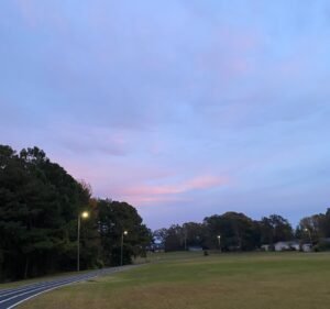 Soccer Field image 2