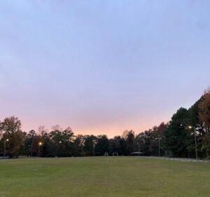 Soccer Field image 3