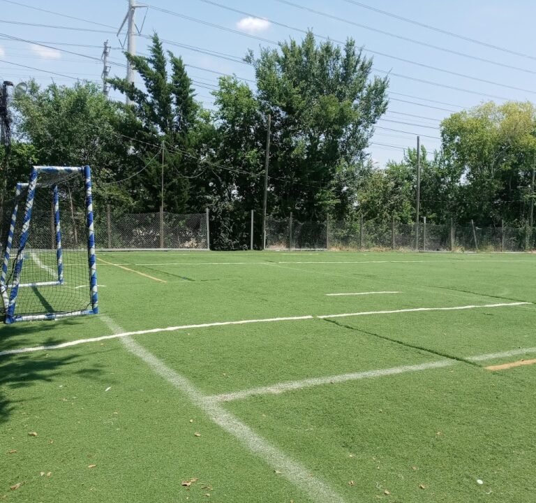 Soccer Field image 3
