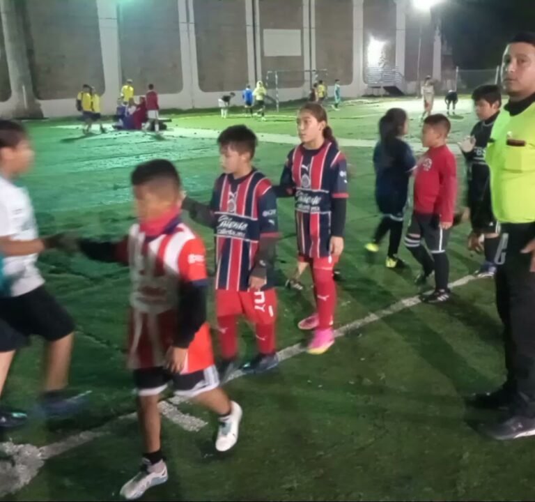 Soccer Field image 4