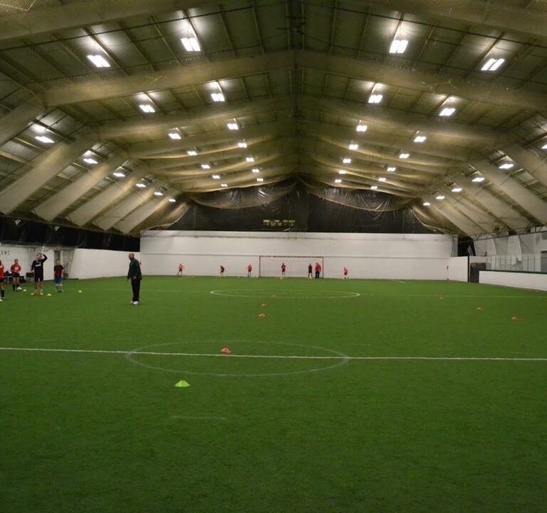 Soccer Field image 2