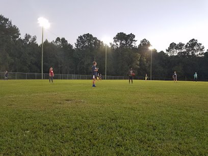 Soccer Field image 1