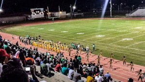 Soccer Field image 1