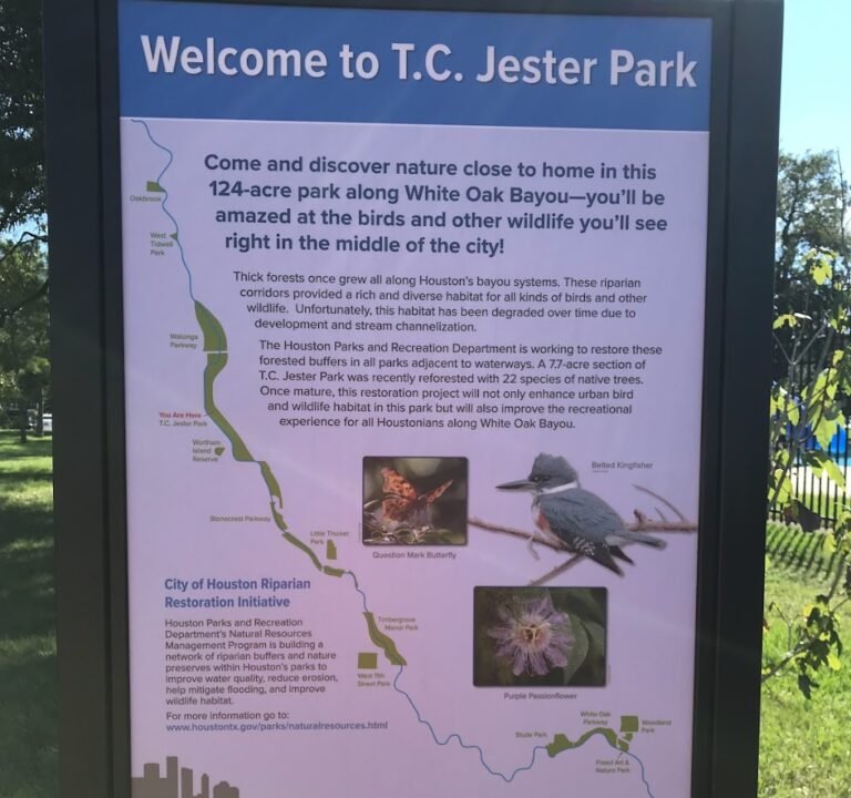 Soccer Field image 3