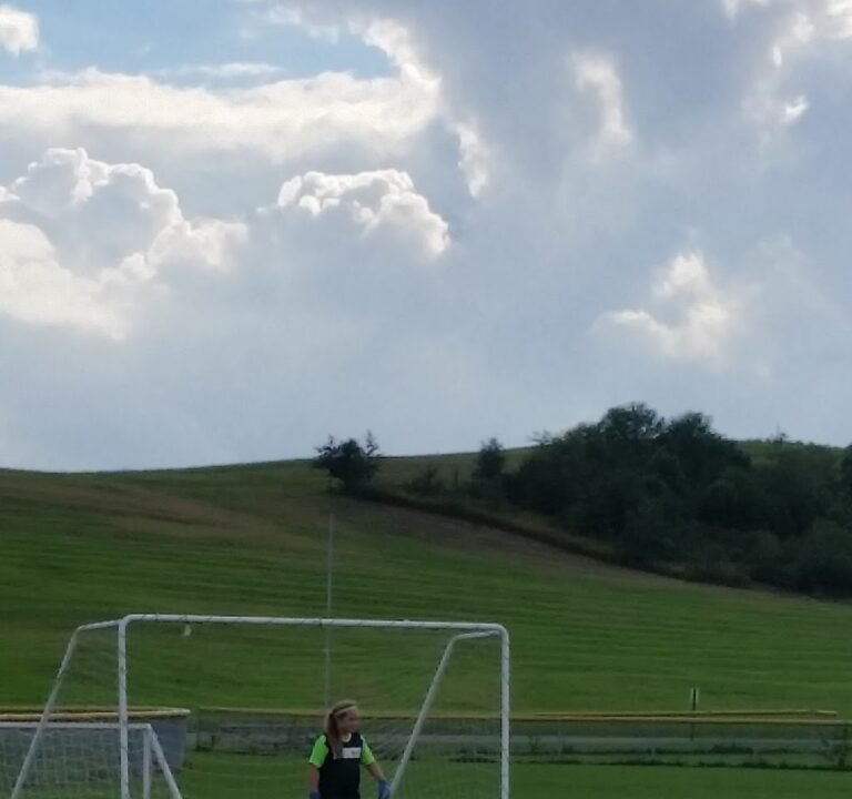 Soccer Field image 2