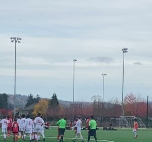 Soccer Field image 4
