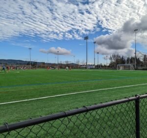Soccer Field image 2